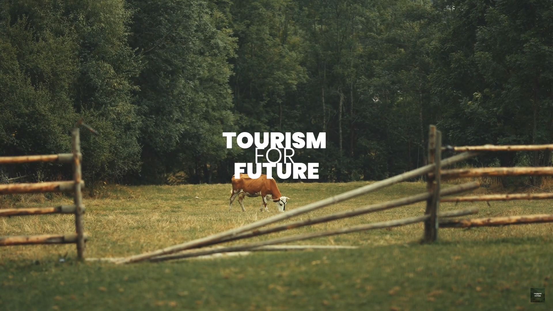 Tourism for Future
